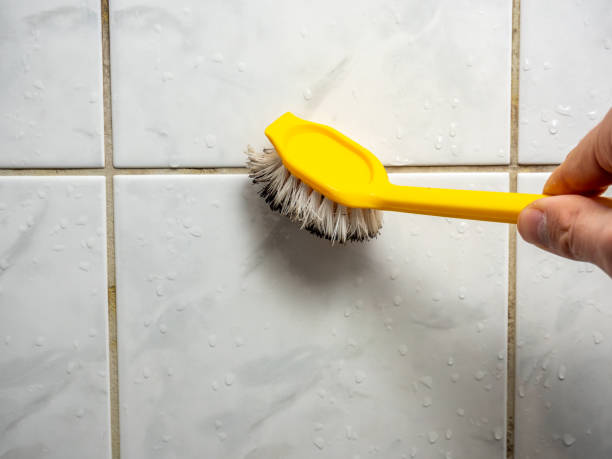 Best Industrial Mold Remediation in Dekal, IL