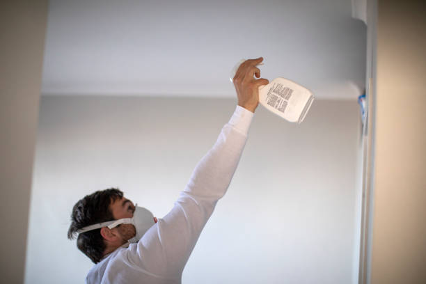 Best Health and Safety Mold Remediation in Dekal, IL