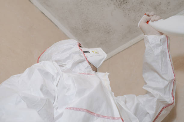 Best Kitchen Mold Remediation in Dekal, IL